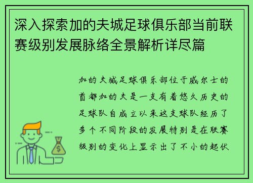 深入探索加的夫城足球俱乐部当前联赛级别发展脉络全景解析详尽篇