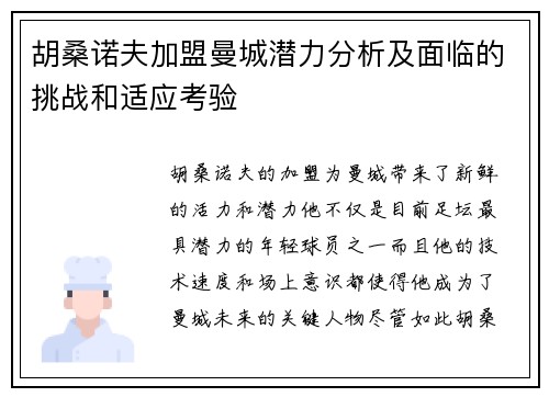 胡桑诺夫加盟曼城潜力分析及面临的挑战和适应考验